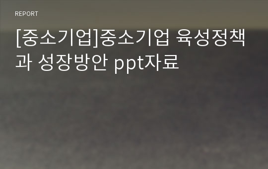 [중소기업]중소기업 육성정책과 성장방안 ppt자료