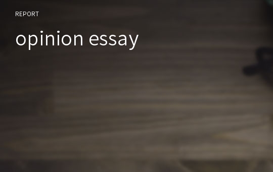 opinion essay