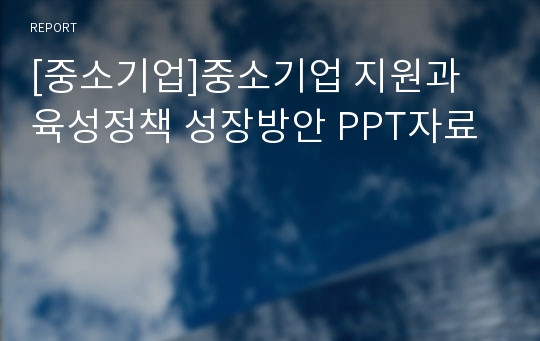 [중소기업]중소기업 지원과 육성정책 성장방안 PPT자료