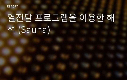 열전달 프로그램을 이용한 해석 (Sauna)