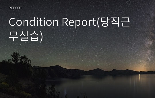 Condition Report(당직근무실습)