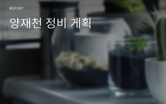 양재천 정비 게획