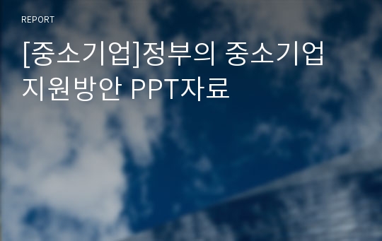 [중소기업]정부의 중소기업 지원방안 PPT자료