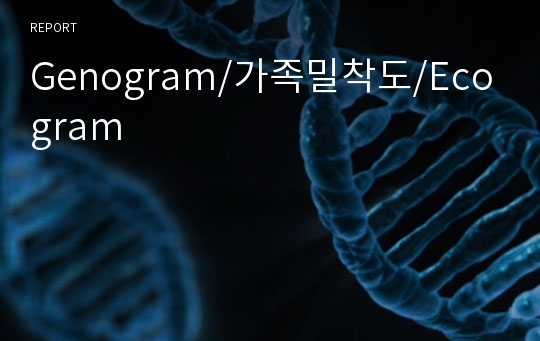 Genogram/가족밀착도/Ecogram