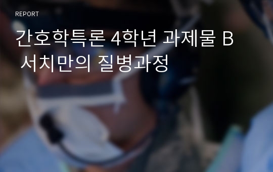 간호학특론 4학년 과제물 B   서치만의 질병과정