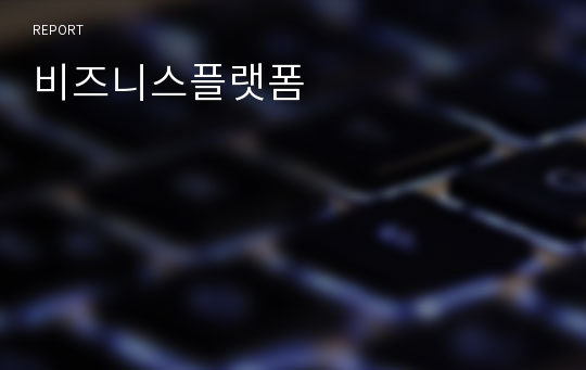 비즈니스플랫폼