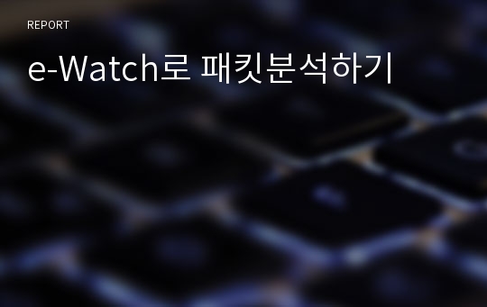 e-Watch로 패킷분석하기