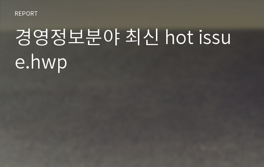 경영정보분야 최신 hot issue.hwp