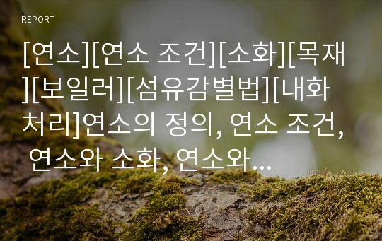 [연소][연소 조건][소화][목재][보일러][섬유감별법][내화처리]연소의 정의, 연소 조건, 연소와 소화, 연소와 목재, 연소와 보일러, 연소와 섬유감별법, 연소와 내화처리 분석