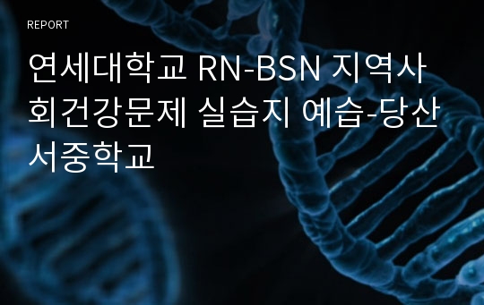 연세대학교 RN-BSN 지역사회건강문제 실습지 예습-당산서중학교