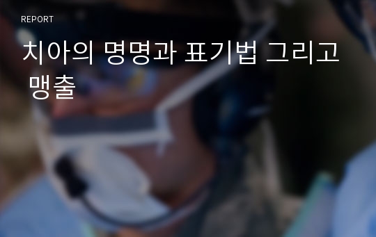 치아의 명명과 표기법 그리고 맹출