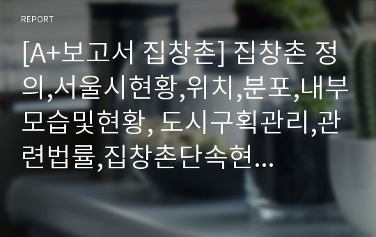 [A+보고서 집창촌] 집창촌 정의,서울시현황,위치,분포,내부모습및현황, 도시구획관리,관련법률,집창촌단속현황,단속법률,단속미비점,집창촌여성자활시스템