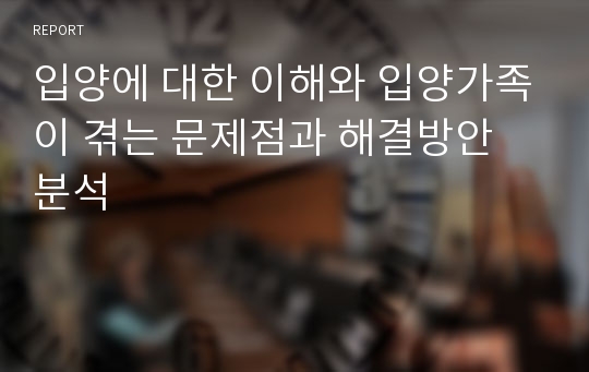 입양에 대한 이해와 입양가족이 겪는 문제점과 해결방안 분석