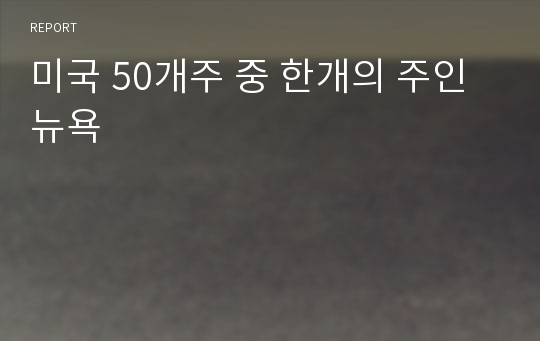 미국 50개주 중 한개의 주인 뉴욕