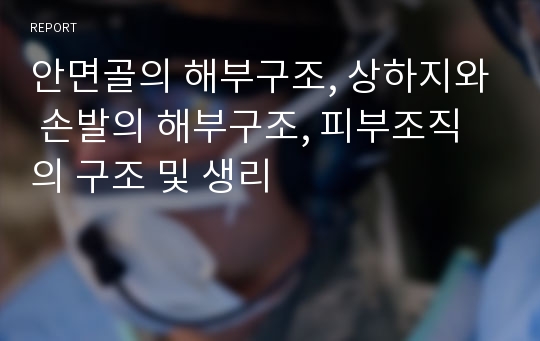 안면골의 해부구조, 상하지와 손발의 해부구조, 피부조직의 구조 및 생리