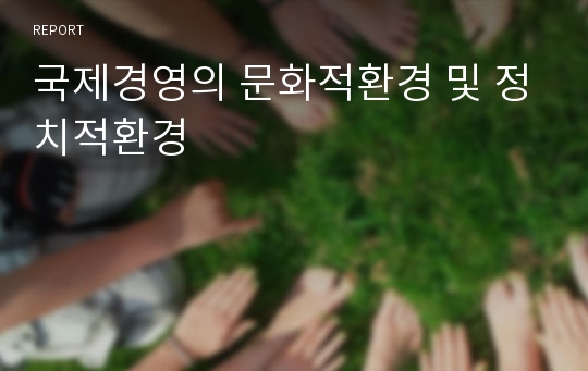 국제경영의 문화적환경 및 정치적환경