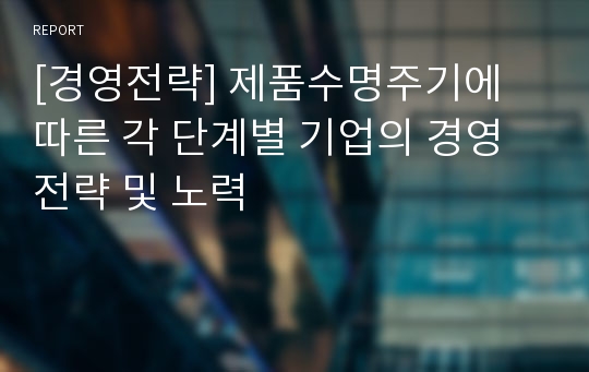 [경영전략] 제품수명주기에 따른 각 단계별 기업의 경영전략 및 노력