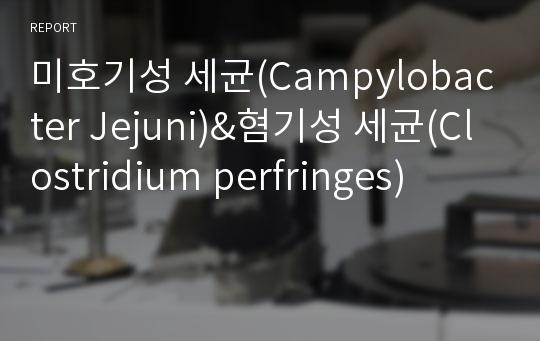 미호기성 세균(Campylobacter Jejuni)&amp;혐기성 세균(Clostridium perfringes)