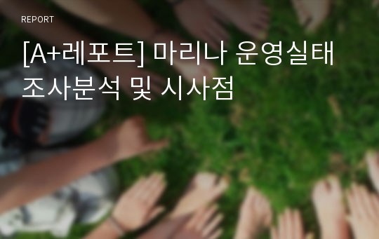 [A+레포트] 마리나 운영실태 조사분석 및 시사점