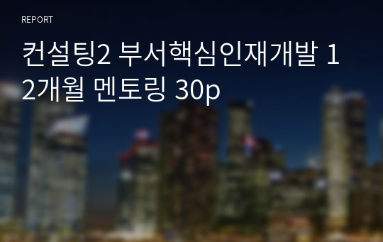 컨설팅2 부서핵심인재개발 12개월 멘토링 30p