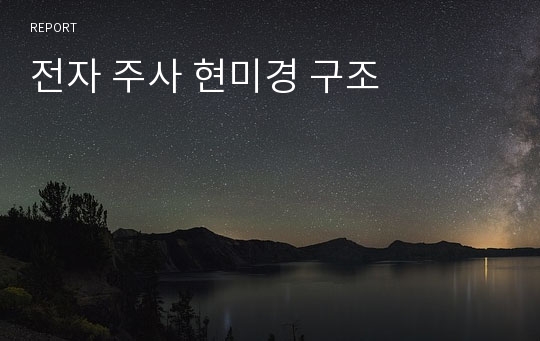 전자 주사 현미경 구조