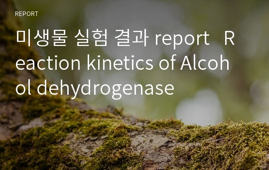 미생물 실험 결과 report   Reaction kinetics of Alcohol dehydrogenase