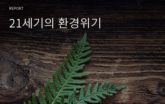 21세기의 환경위기