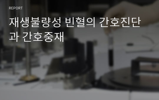 재생불량성 빈혈의 간호진단과 간호중재