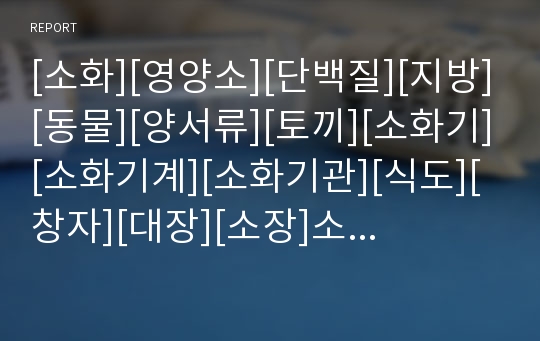 [소화][영양소][단백질][지방][동물][양서류][토끼][소화기][소화기계][소화기관][식도][창자][대장][소장]소화와 영양소, 소화와 동물, 소화와 양서류, 소화와 토끼 분석