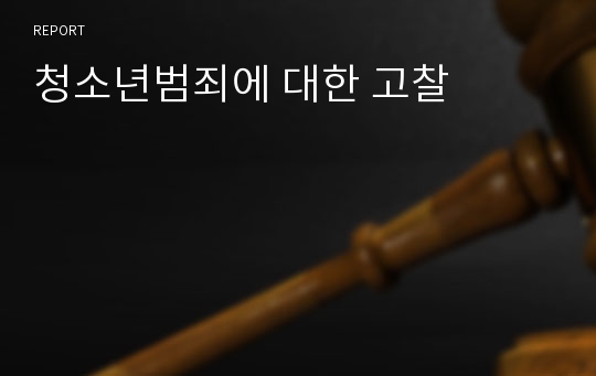 청소년범죄에 대한 고찰