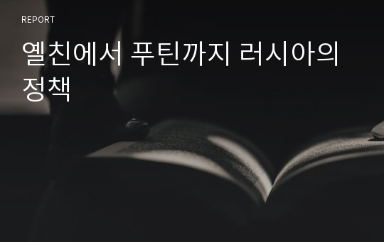 옐친에서 푸틴까지 러시아의 정책