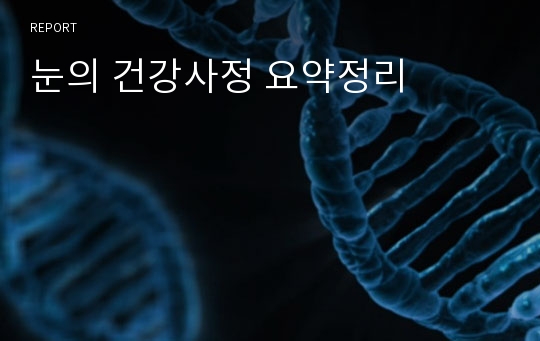 눈의 건강사정 요약정리