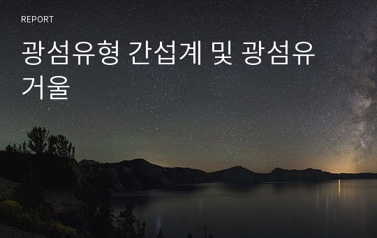 광섬유형 간섭계 및 광섬유 거울