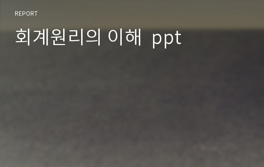 회계원리의 이해  ppt