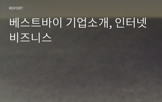 베스트바이 기업소개, 인터넷비즈니스