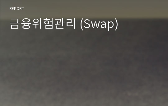 금융위험관리 (Swap)