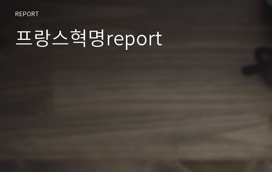 프랑스혁명report