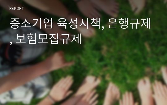 중소기업 육성시책, 은행규제, 보험모집규제