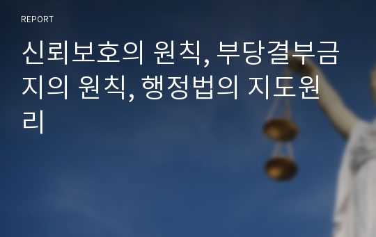 신뢰보호의 원칙, 부당결부금지의 원칙, 행정법의 지도원리