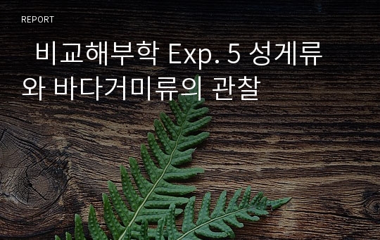   비교해부학 Exp. 5 성게류와 바다거미류의 관찰