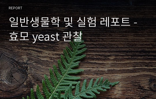 일반생물학 및 실험 레포트 - 효모 yeast 관찰