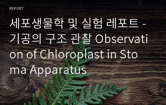 세포생물학 및 실험 레포트 - 기공의 구조 관찰 Observation of Chloroplast in Stoma Apparatus