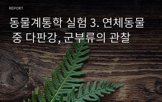 동물계통학 실험 3. 연체동물 중 다판강, 군부류의 관찰