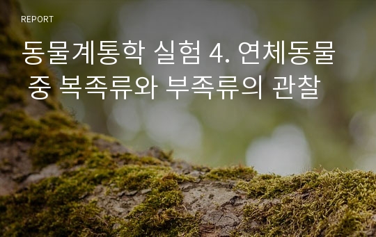 동물계통학 실험 4. 연체동물 중 복족류와 부족류의 관찰