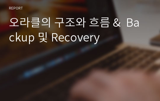 오라클의 구조와 흐름 &amp;  Backup 및 Recovery