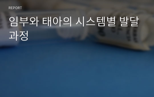 임부와 태아의 시스템별 발달과정