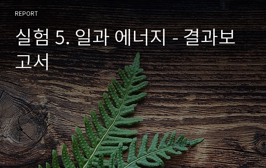 실험 5. 일과 에너지 - 결과보고서