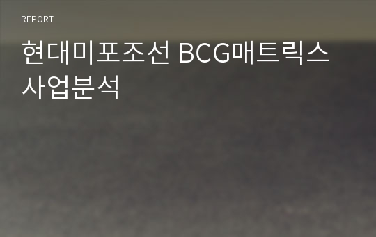 현대미포조선 BCG매트릭스 사업분석