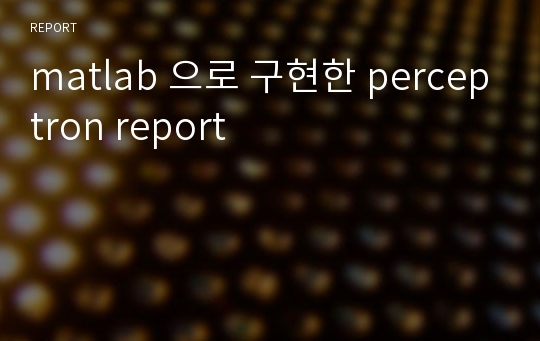 matlab 으로 구현한 perceptron report