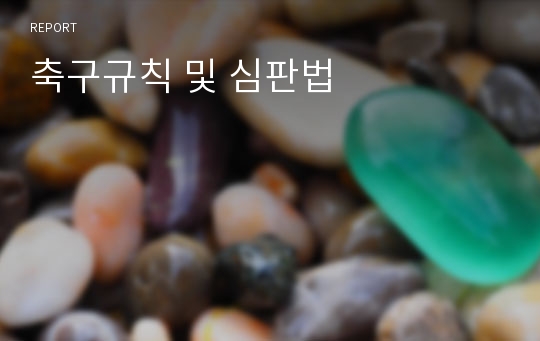 축구규칙 및 심판법